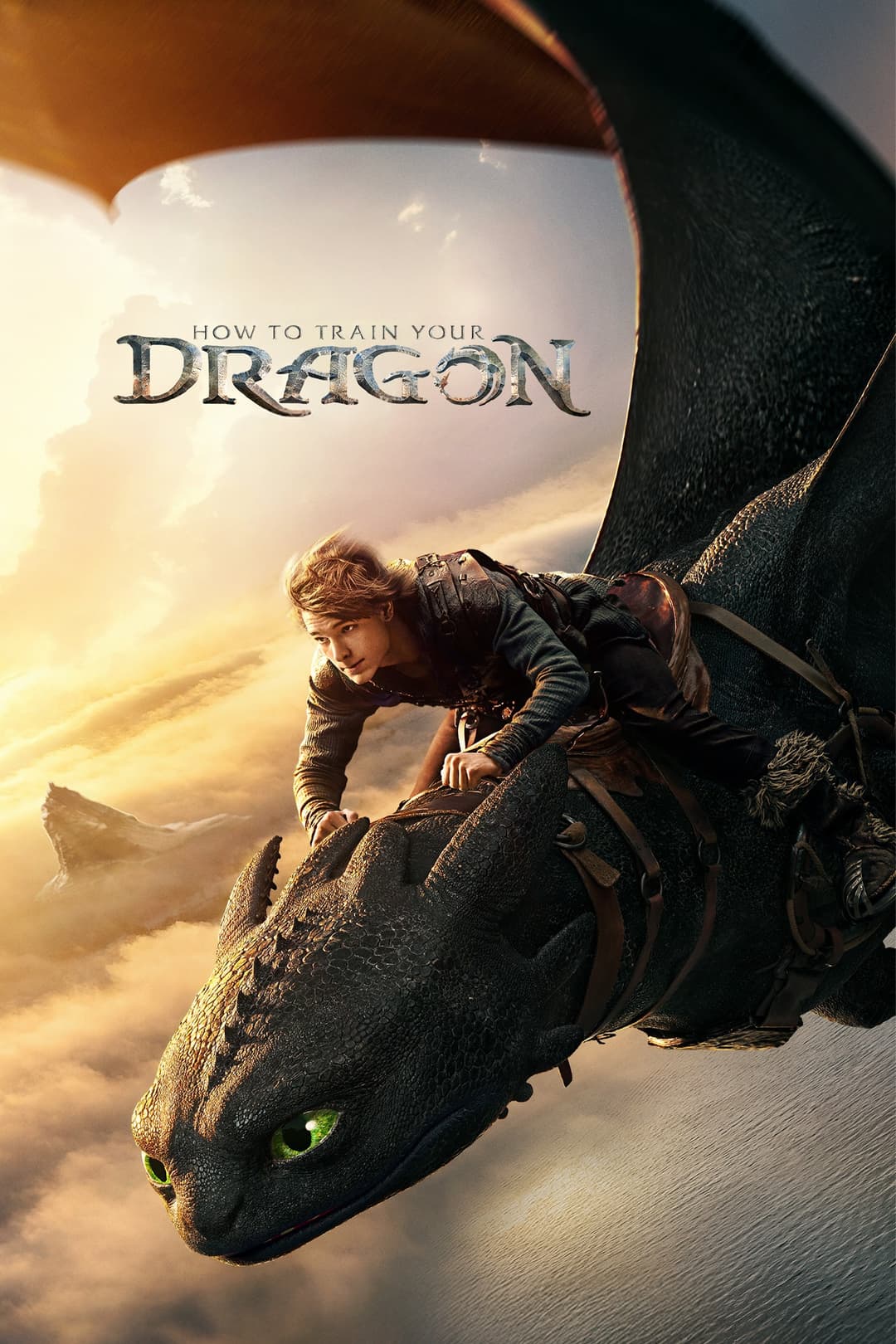 How to Train Your Dragon Poster not found