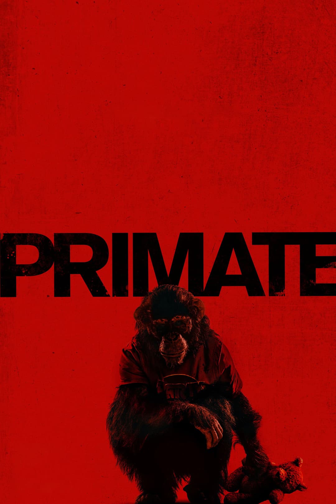 Primate Poster not found