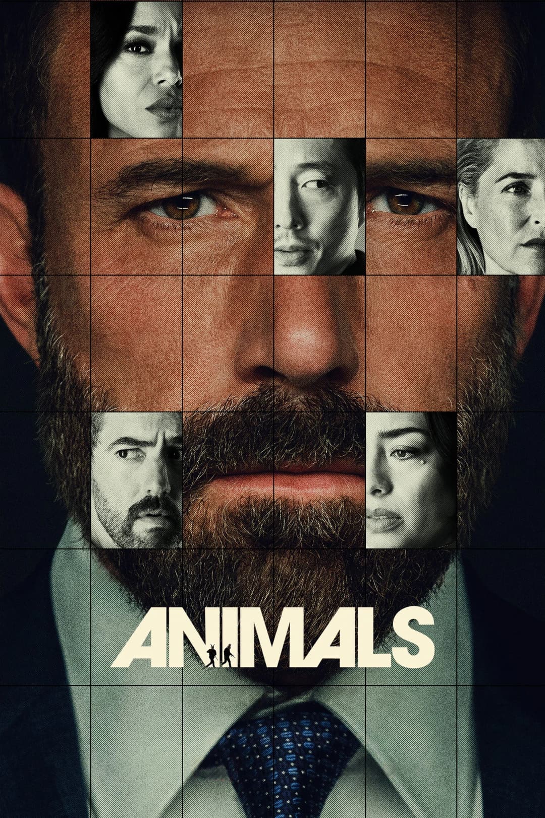 Animals Poster not found