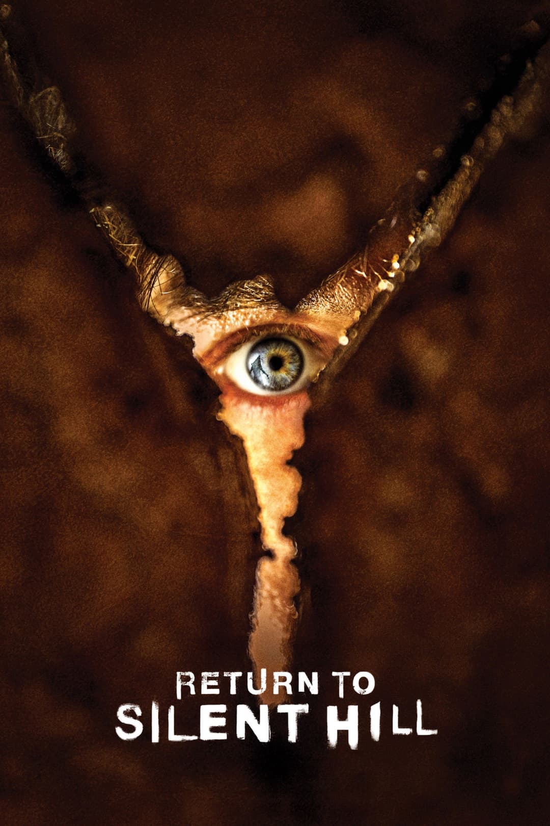 Return to Silent Hill Poster not found