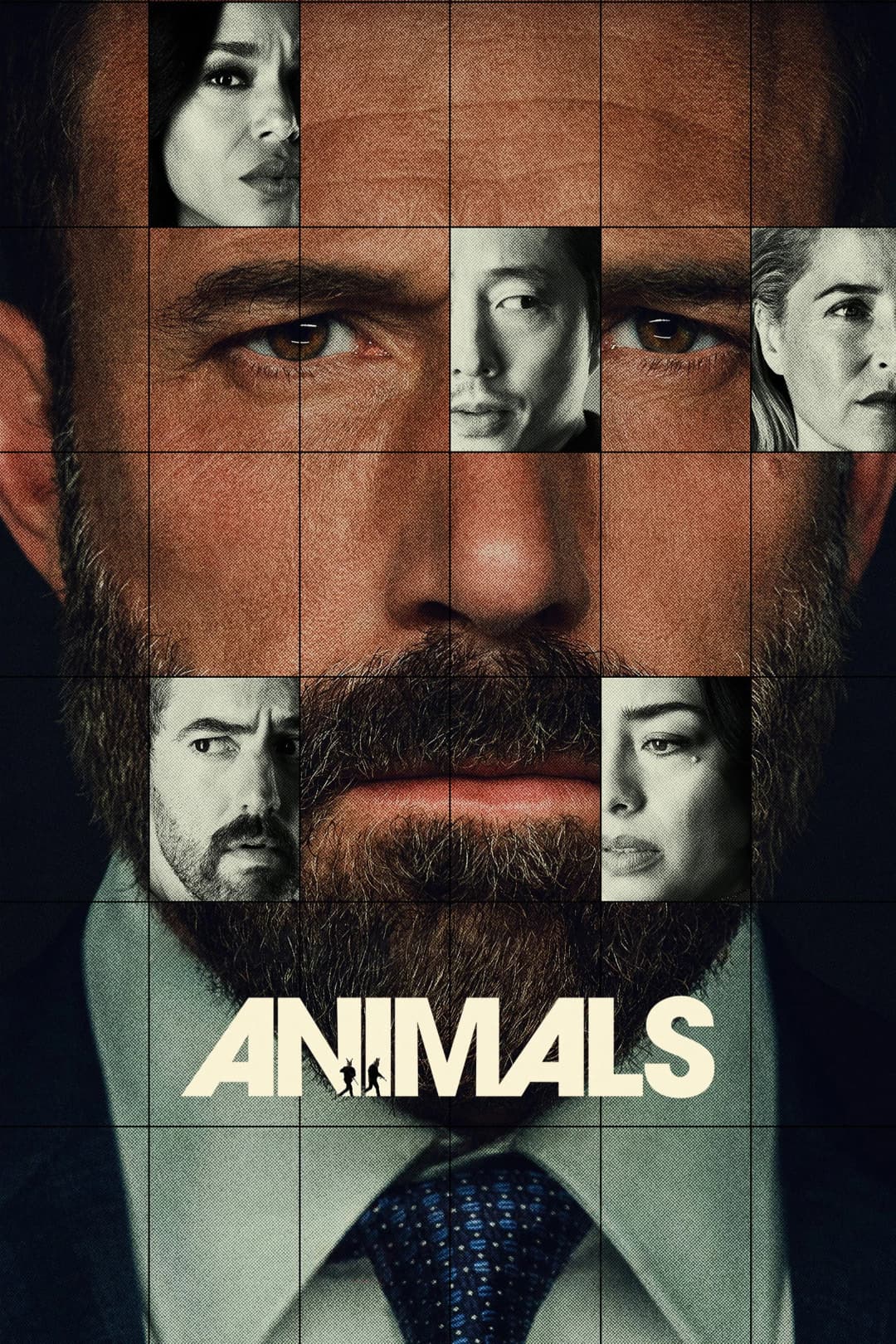 Animals Poster not found