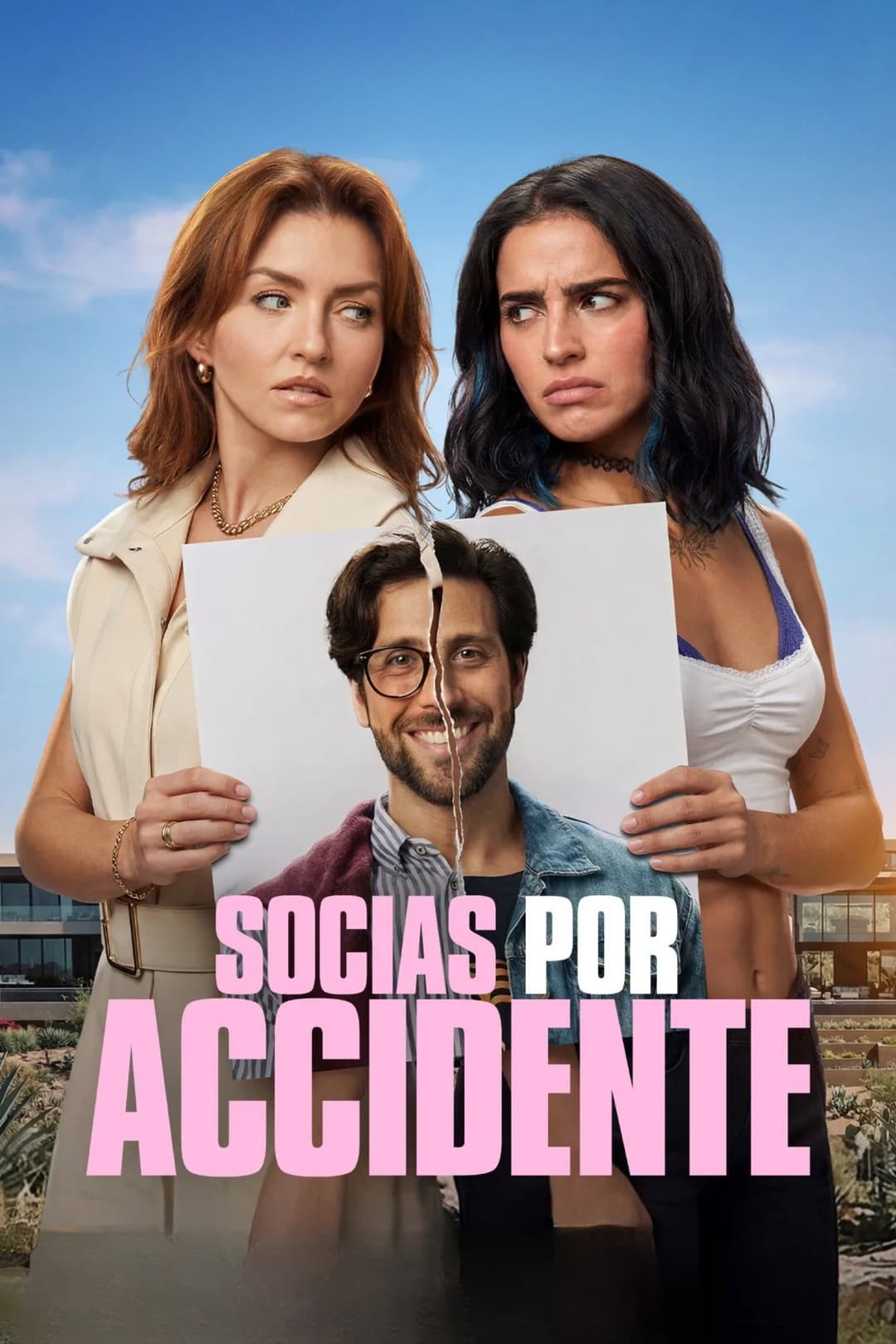 Accidental Partners Poster not found
