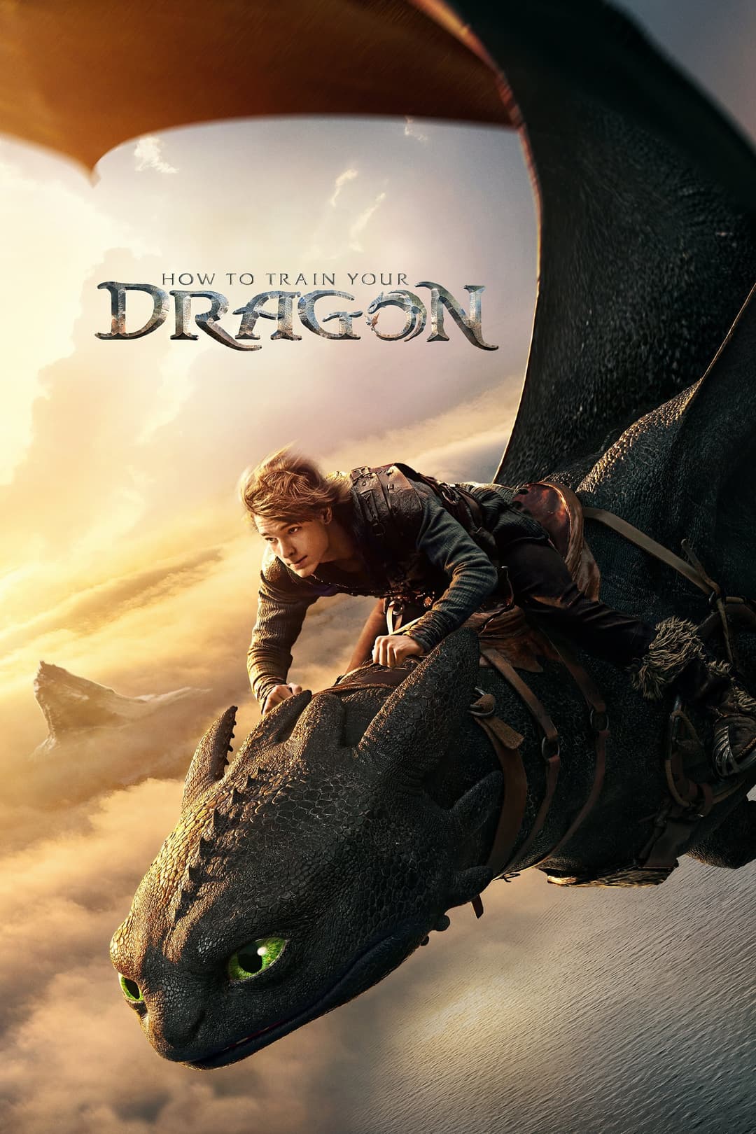 How to Train Your Dragon Poster not found