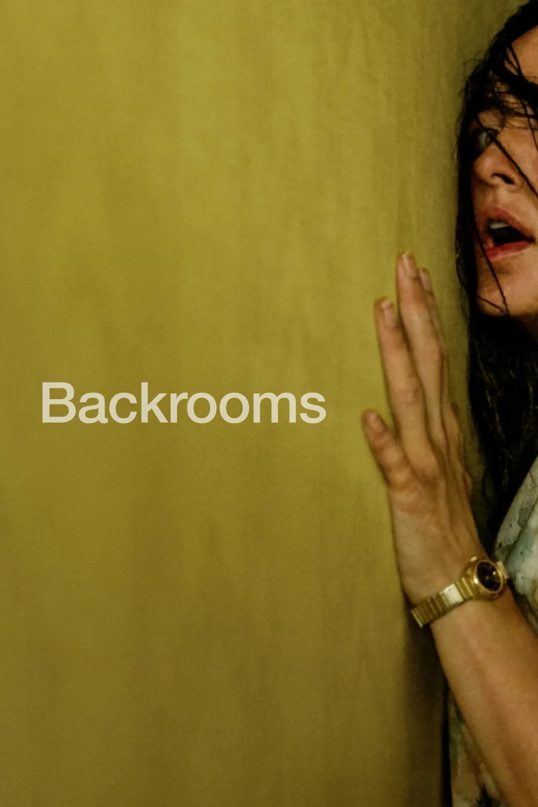 Backrooms Poster not found