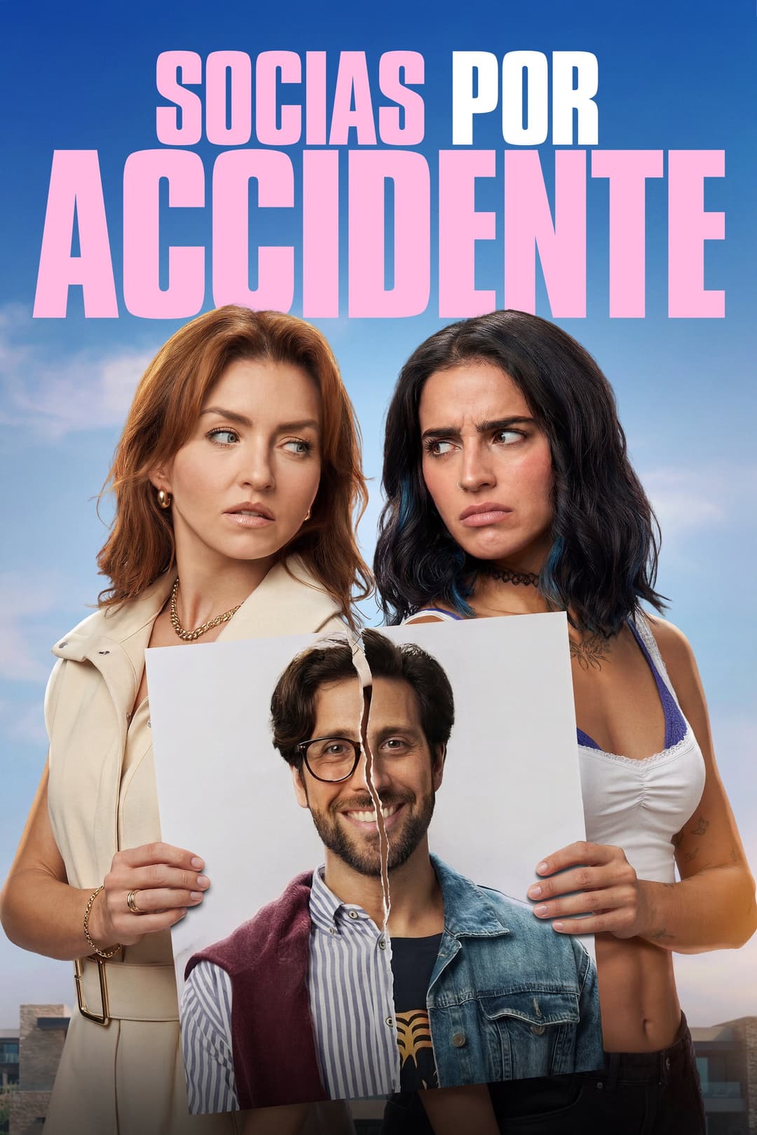 Accidental Partners Poster not found