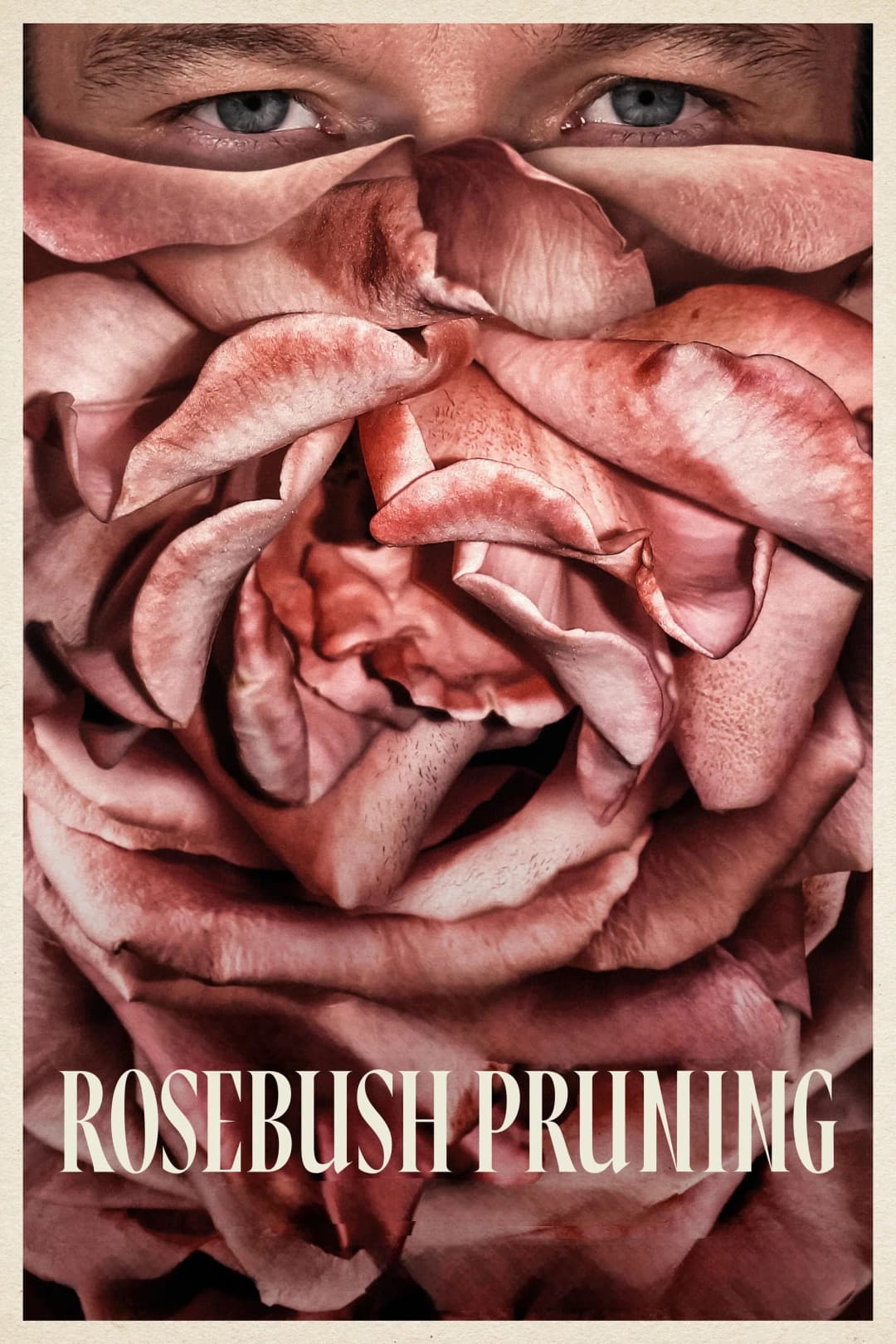 Rosebush Pruning Poster not found