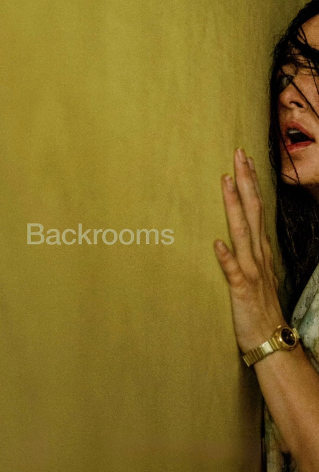 Backrooms Poster not found