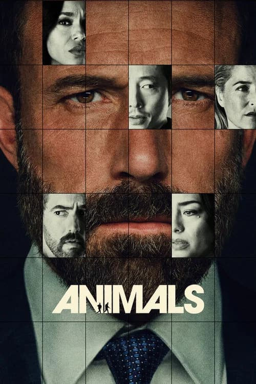 Animals poster Not found