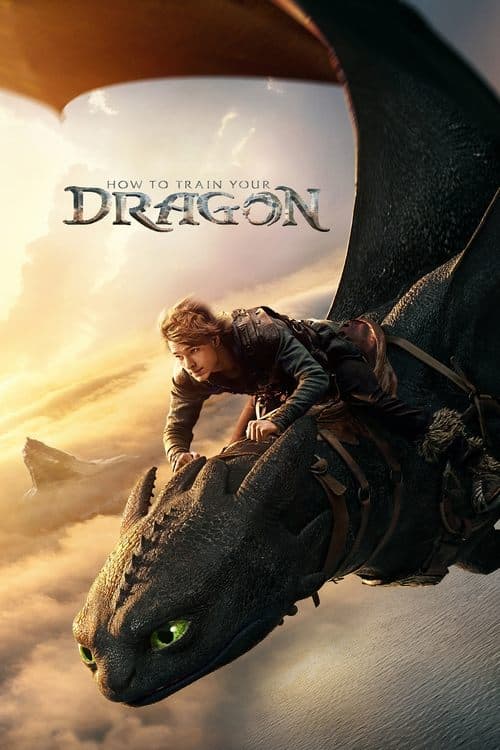 How to Train Your Dragon poster Not found