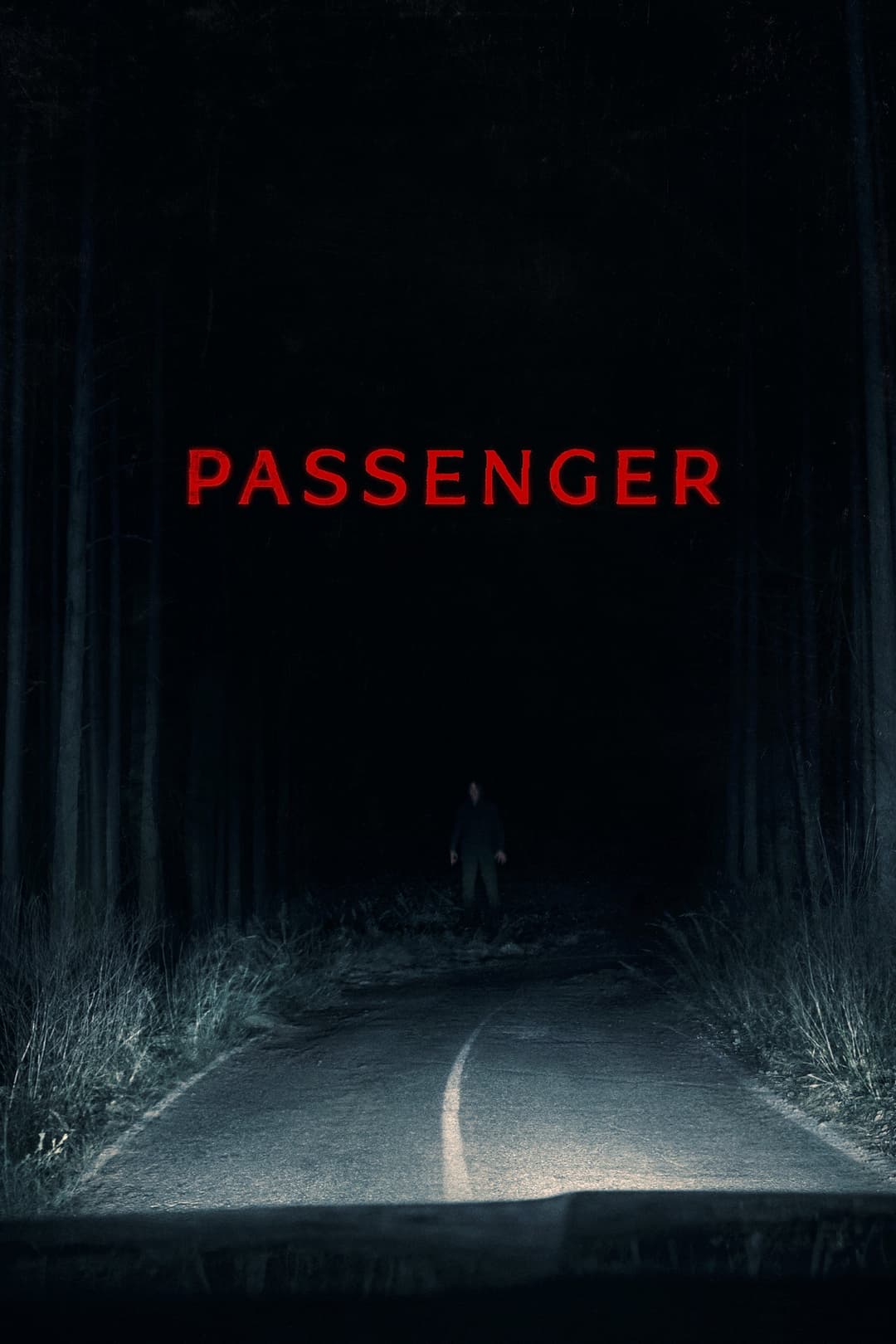 Passenger Poster not found