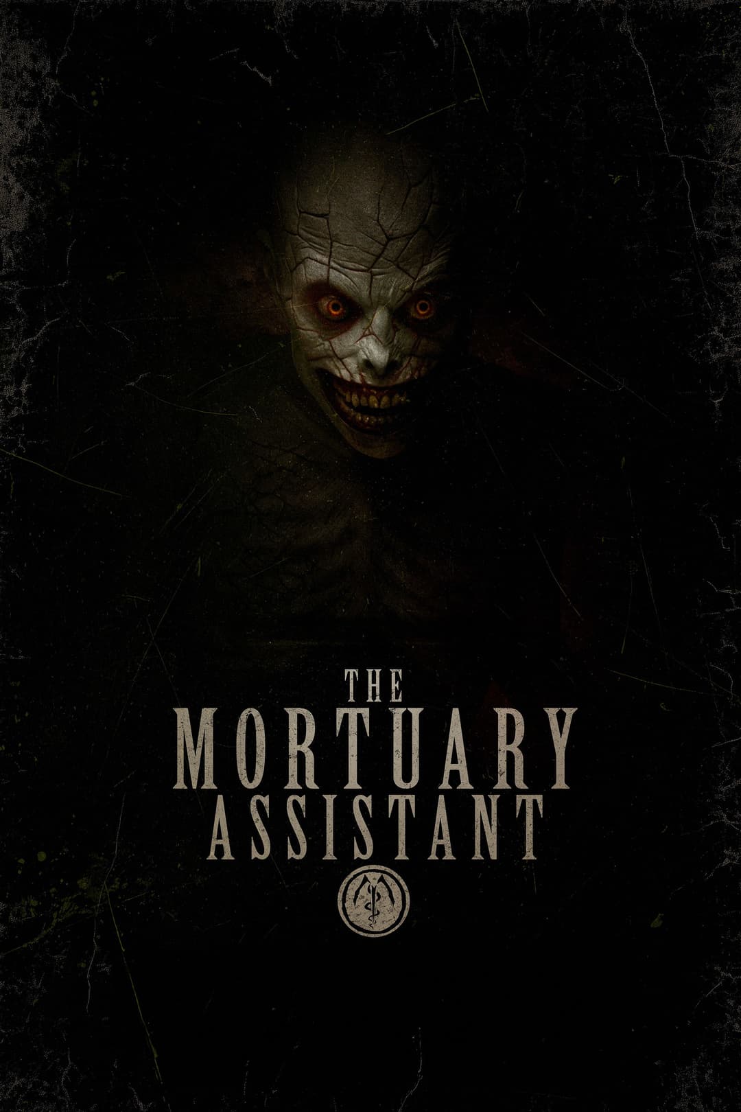 The Mortuary Assistant Poster not found