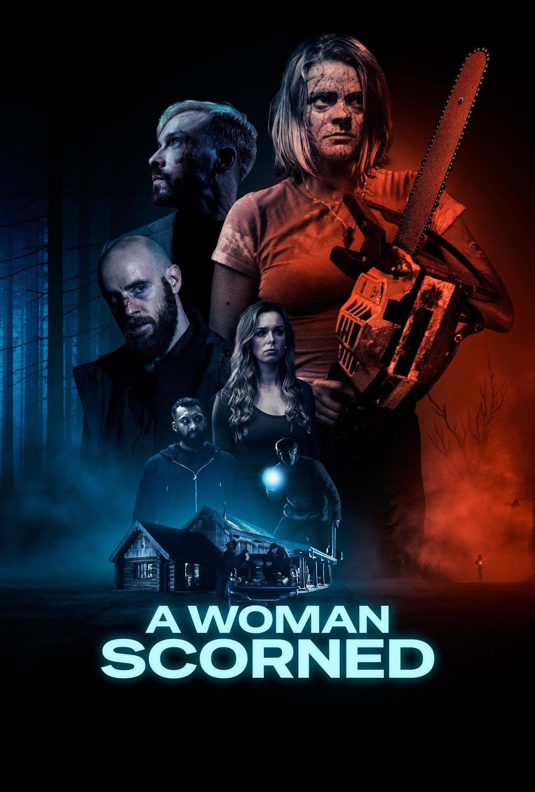 A Woman Scorned Poster not found