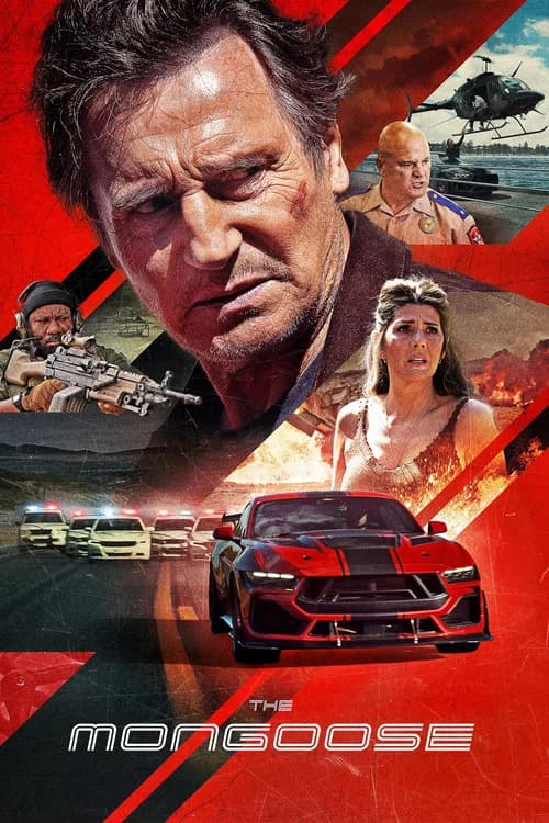 The Mongoose poster Not found